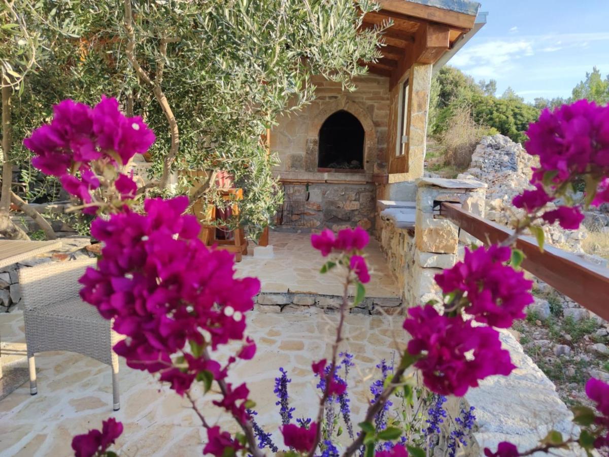 Vacation House Milka Milna  Exterior photo